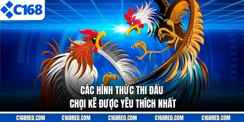 Các hình thức thi đấu chọi kê được yêu thích nhất