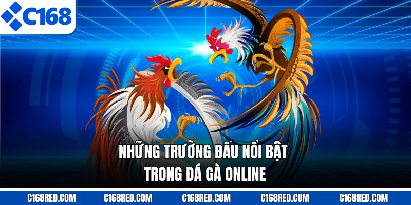 Những trường đấu nổi bật trong đá gà online